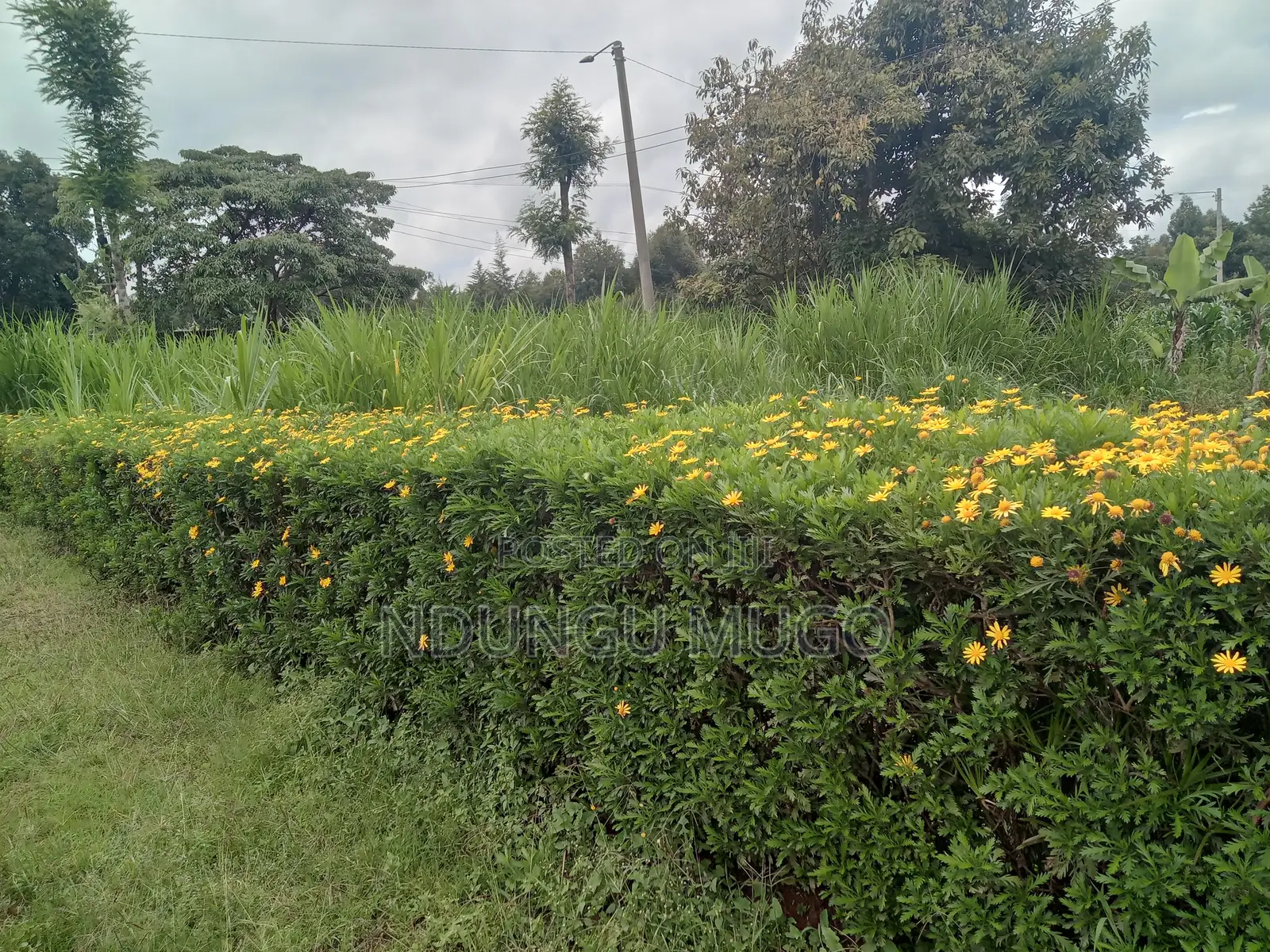 1/8 for Sale at Gacuthi, Muguga