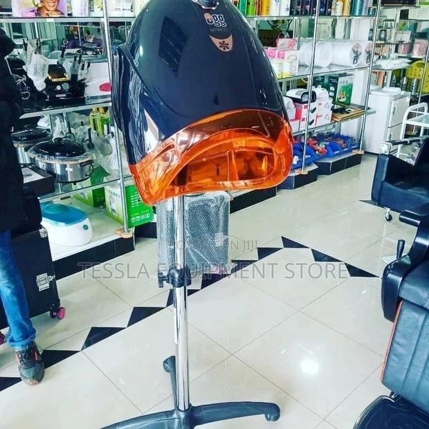 Beauty Salon Barber Hair Dryer Machine Egg Shaped