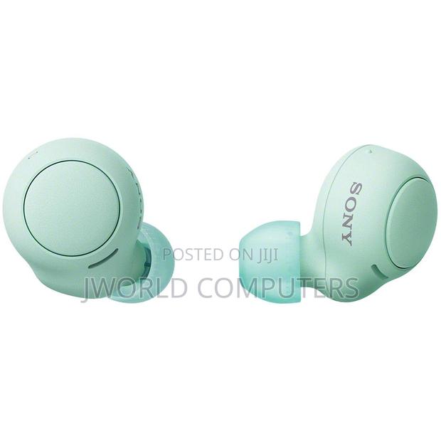 Sony Wf-C500 Wireless Bluetooth Earbuds - thumbnail 2