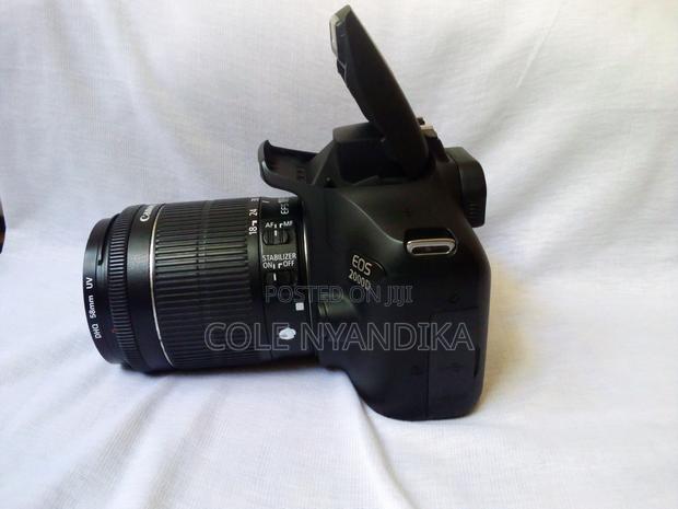 Canon Camera - thumbnail 7
