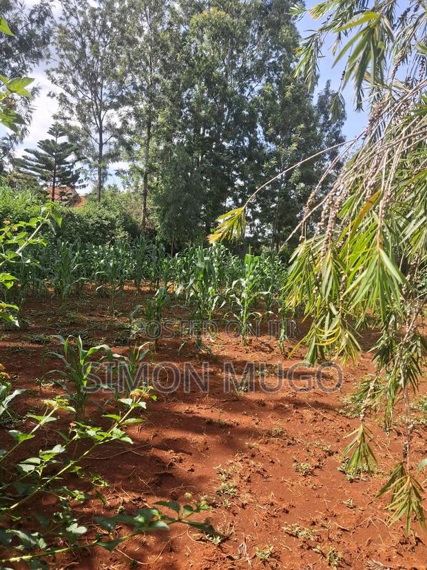 Golden Palm Estate Kiambu Secure Fully Serviced 1/4ac in Gated Court