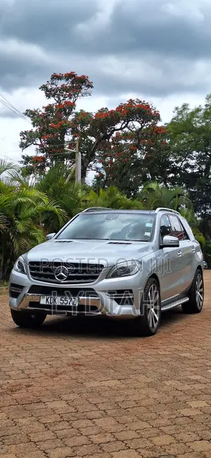 Mercedes-Benz M Class 2014 Silver