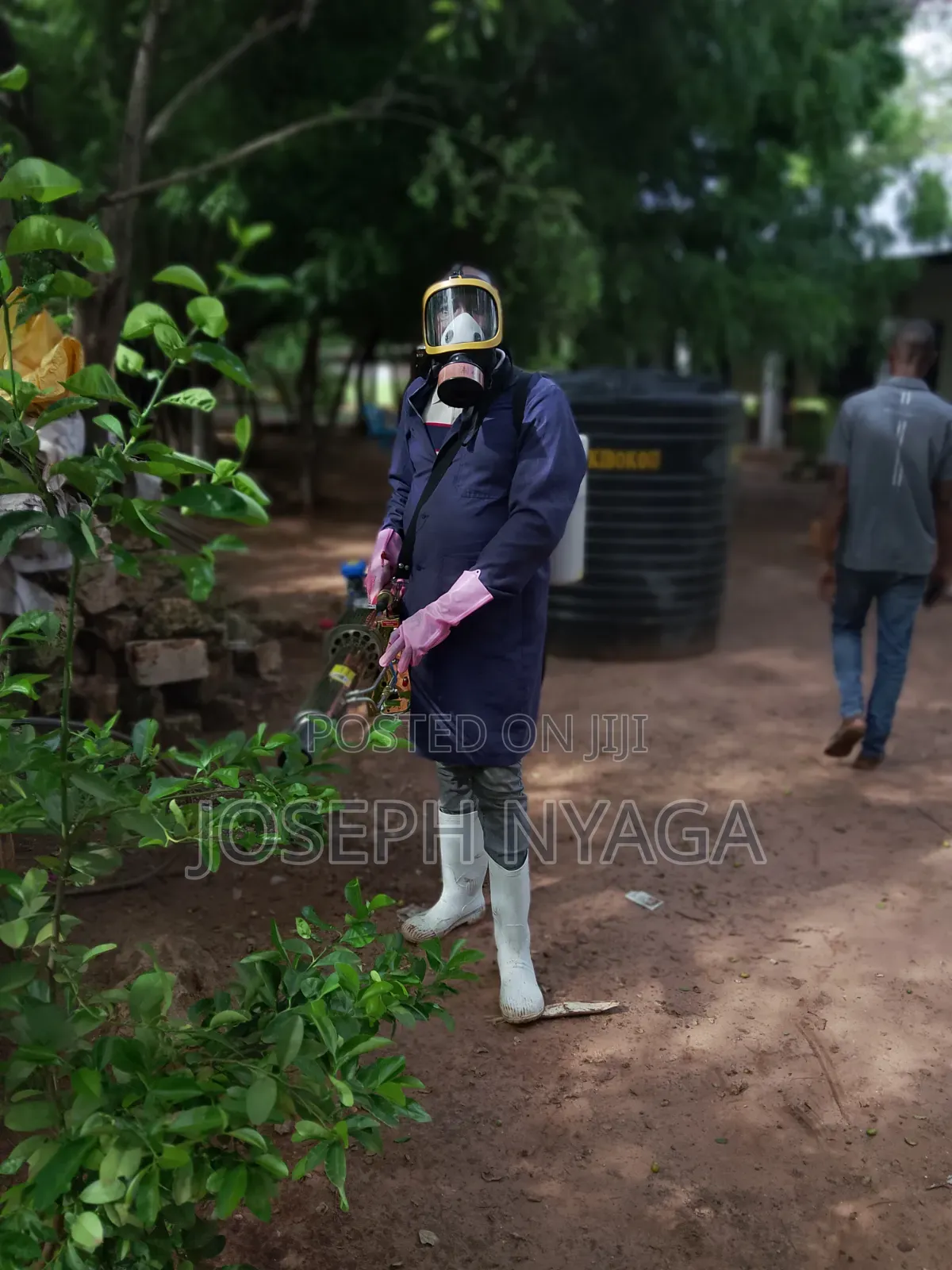 Cleaning and Fumigation