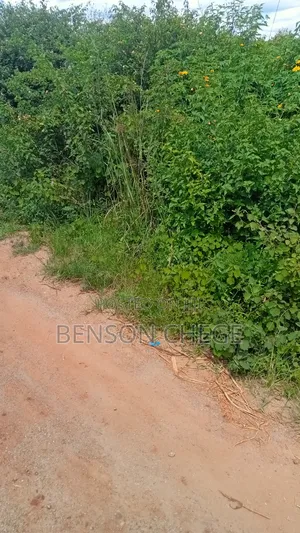 2 Acres of Land for Sale in Maragua Summary