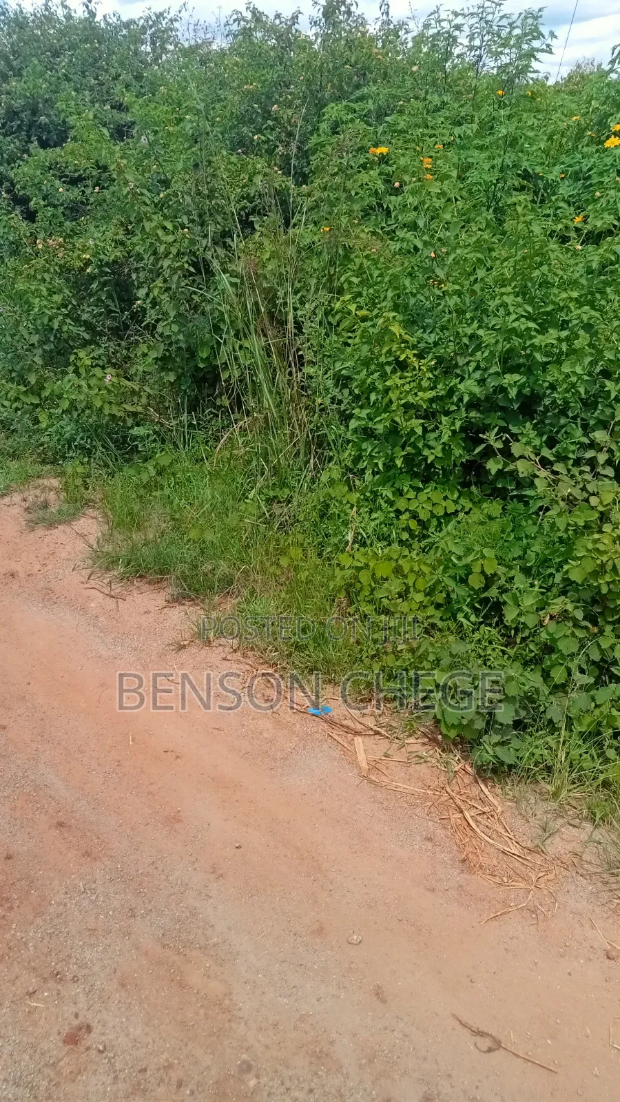 2 Acres of Land for Sale in Maragua Summary