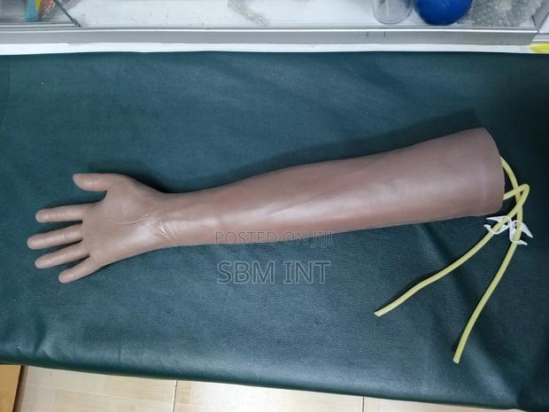 Human Arm Infusion Training Model - thumbnail 2