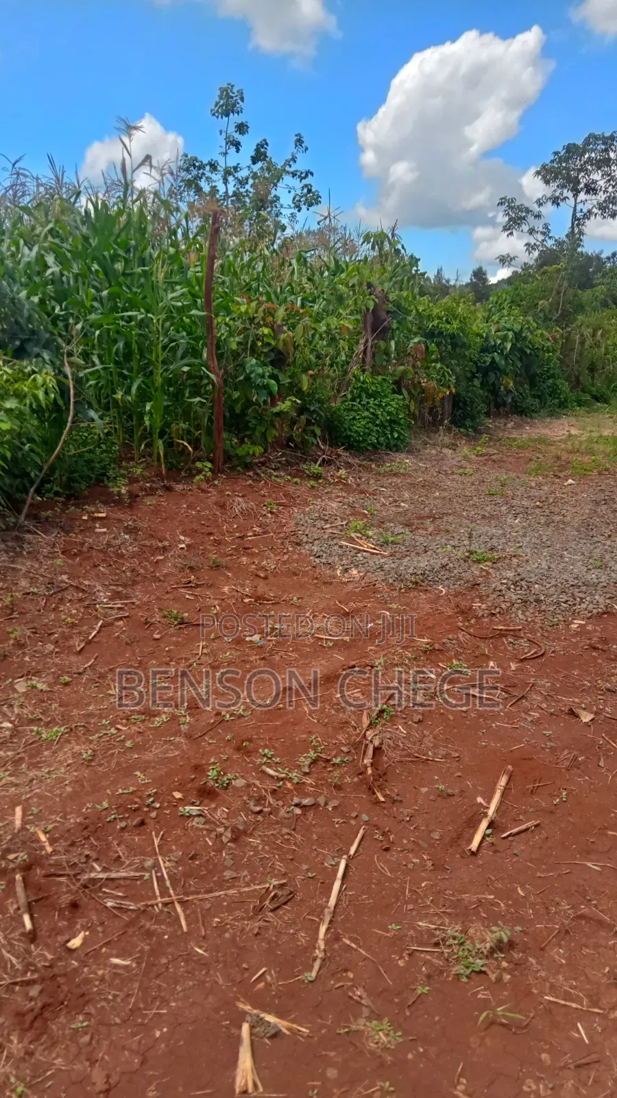 2acre for Sale in Maragua Summary Land