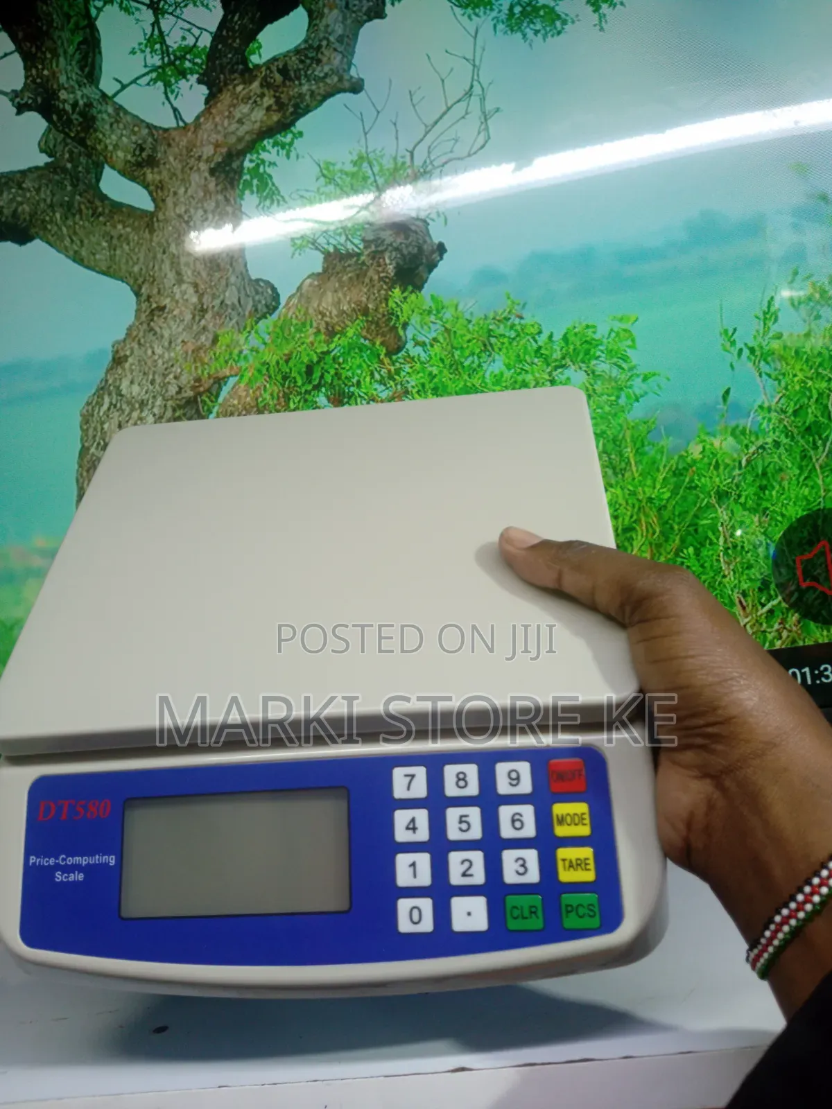 Dt-580 Mini Electronic Price Computing Scale _30kg Maximum