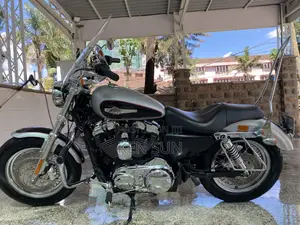 Harley-Davidson Touring 2015 Silver