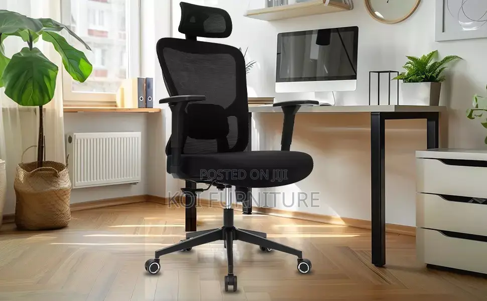 Office Chairs; Flexxking Orthopedic Office Chairs