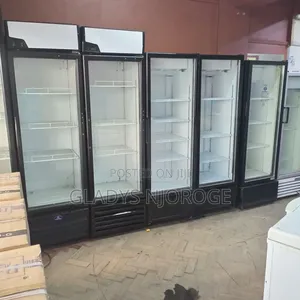 Display Chiller (Affordable All Size)