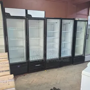 Display Chiller (Affordable All Size)