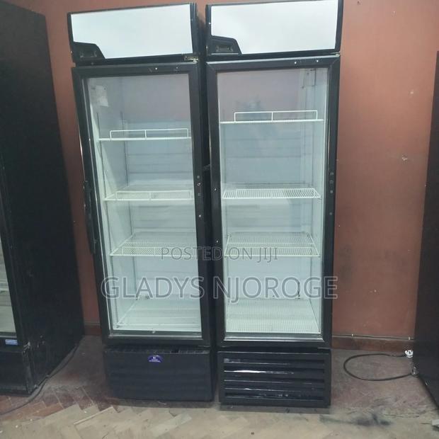 Display Fridge With White Canopy - main view