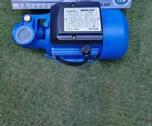 0.5hp Booster Pump