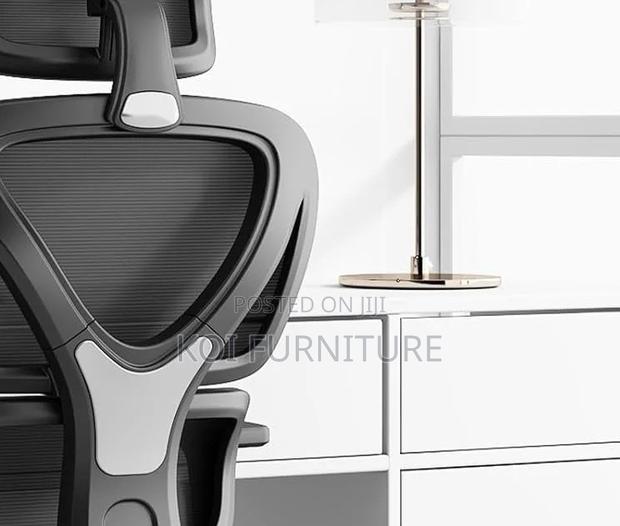 Office Chairs; Bretney Orthopedic Office Executive Chairs - thumbnail 3