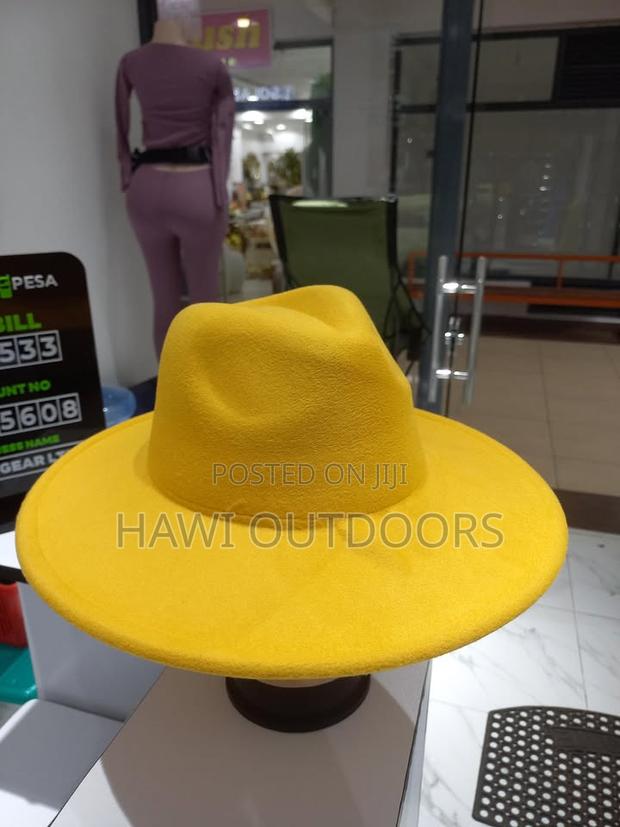 Wide Brim Fedora Hat - thumbnail 2