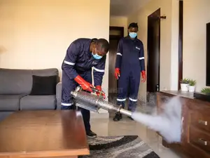 Affordable Cleaning and Fumigation Services in Nakuru