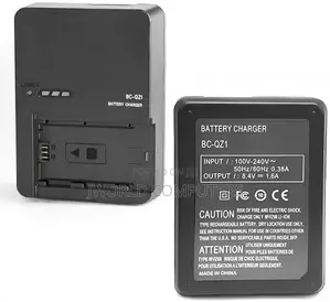 Sony Bc Qz1 Original Charger
