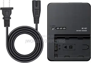 Sony Bc Qz1 Original Charger