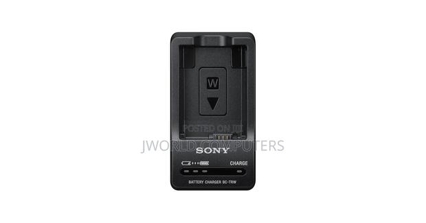 Sony Acc Trw Original Charger - thumbnail 3
