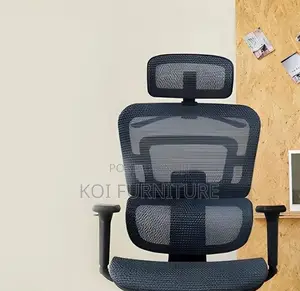 Office Chairs; Monoon Orthopedic Executive High Office Chairs