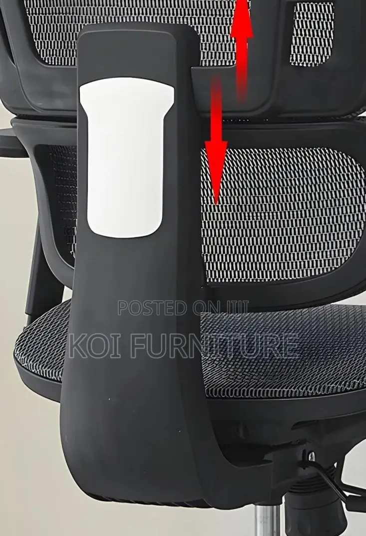 Office Chairs; Monoon Orthopedic Executive High Office Chairs