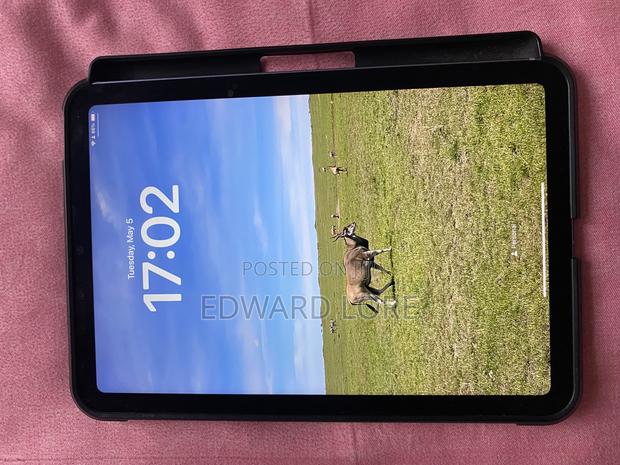 New Apple iPad mini 6 256 GB Gray