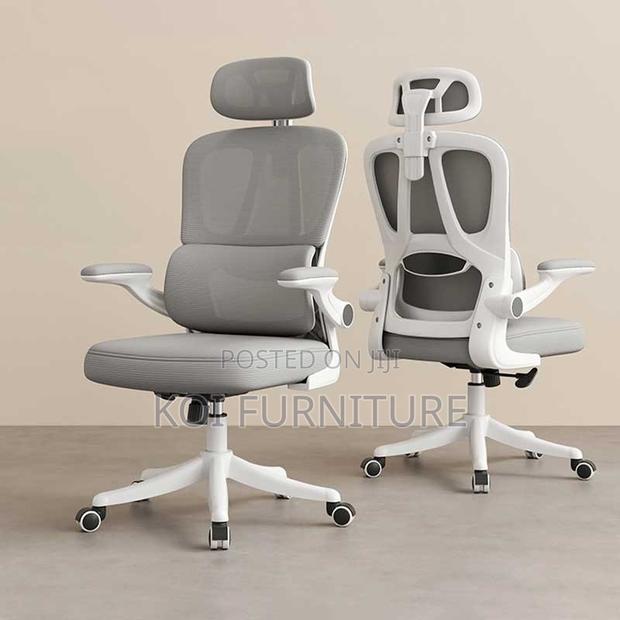 Office Chairs; Vannilli Orthopedic Office Chairs