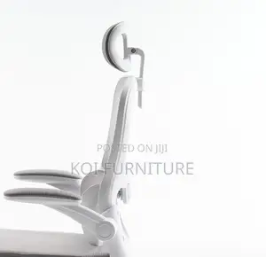 Office Chairs; Vannilli Orthopedic Office Chairs