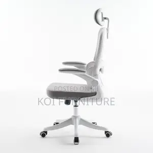 Office Chairs; Vannilli Orthopedic Office Chairs