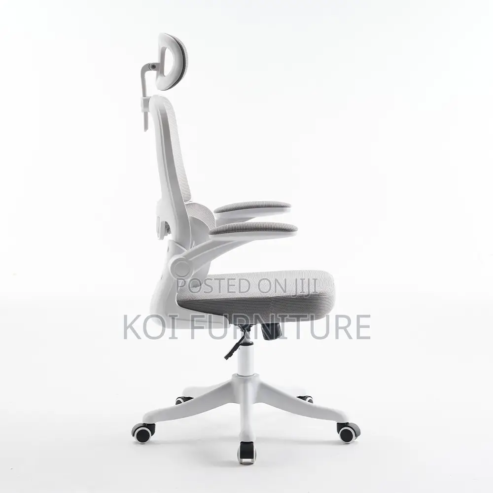 Office Chairs; Vannilli Orthopedic Office Chairs