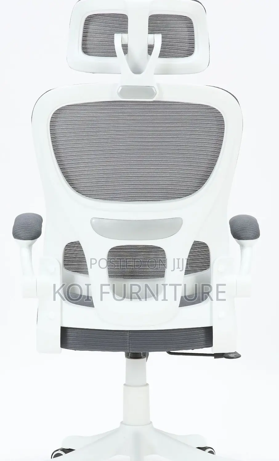 Office Chairs; Vannilli Orthopedic Office Chairs