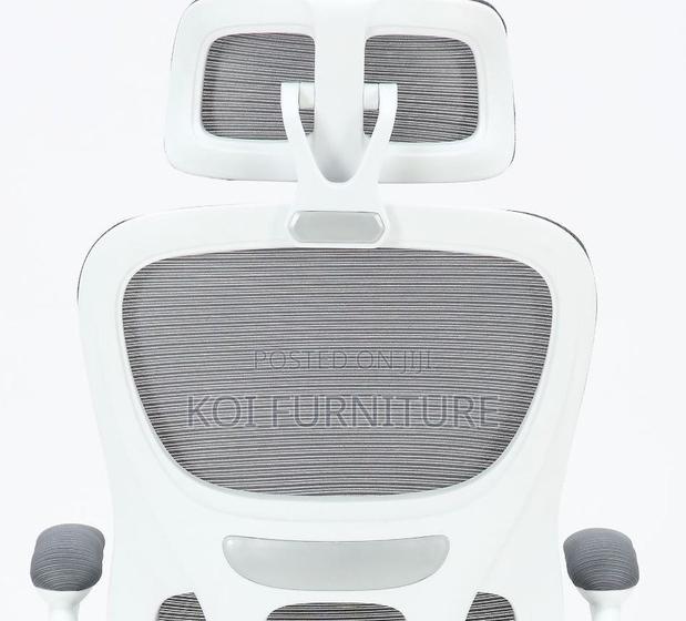 Office Chairs; Vannilli Orthopedic Office Chairs - thumbnail 8