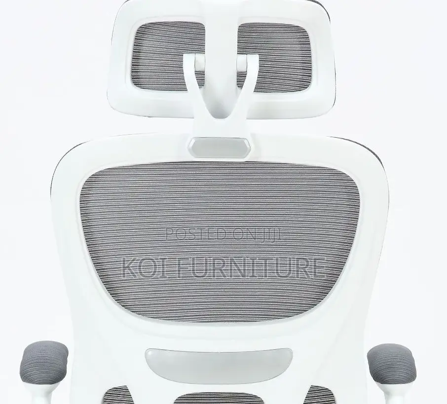 Office Chairs; Vannilli Orthopedic Office Chairs