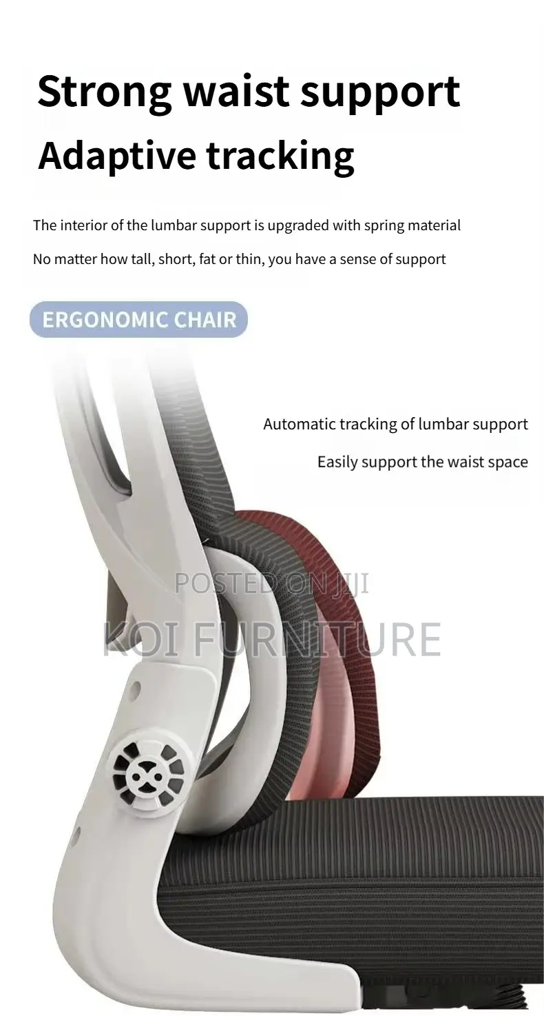 Office Chairs; Vannilli Orthopedic Office Chairs