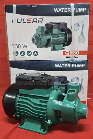 Pulsar Qb80 1hp Booster Water Pump