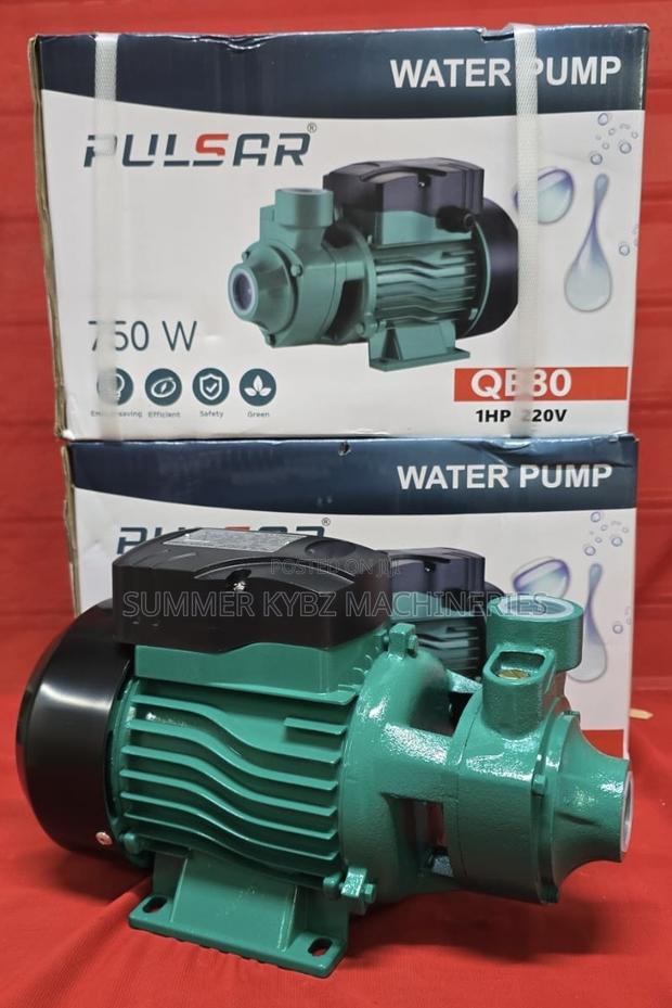 Pulsar Qb80 1hp Booster Water Pump