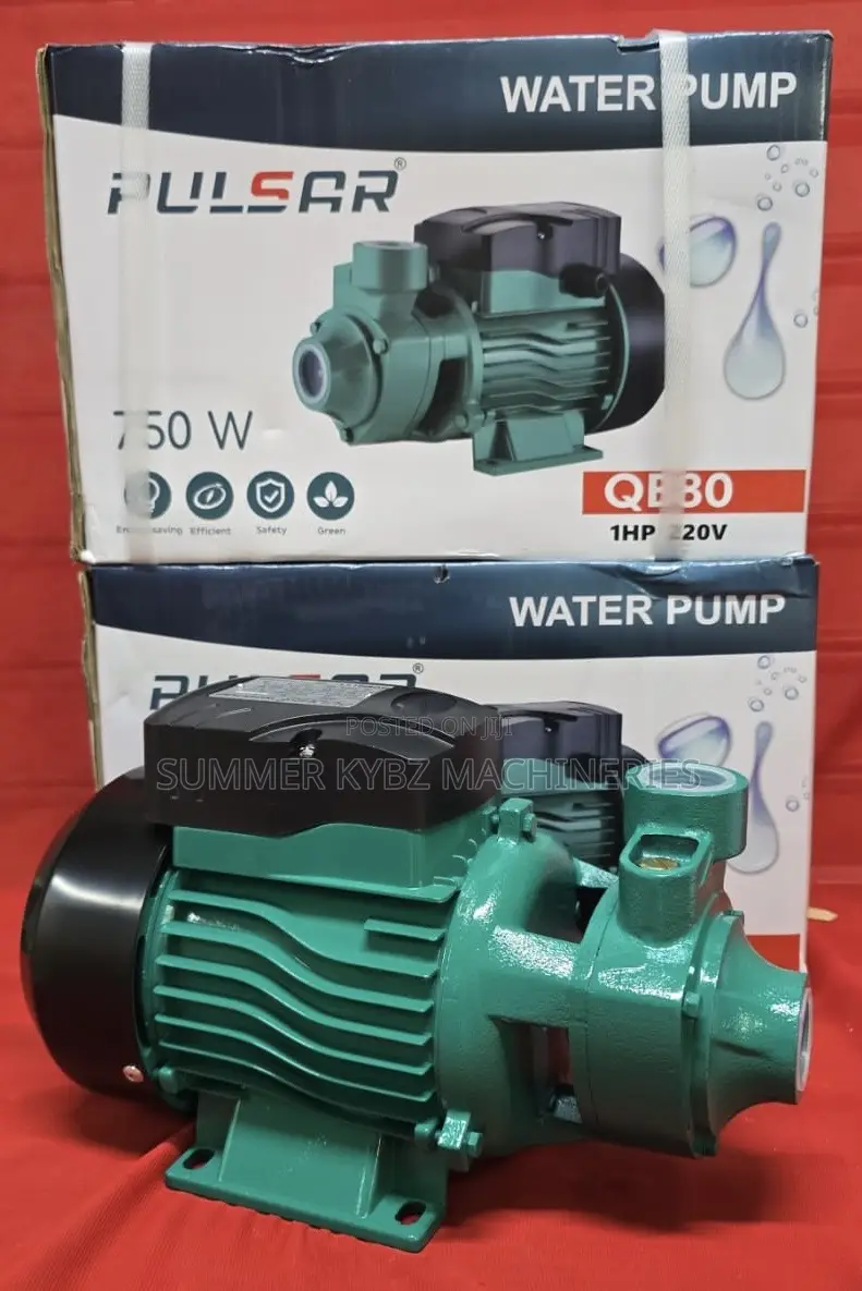 Pulsar Qb80 1hp Booster Water Pump