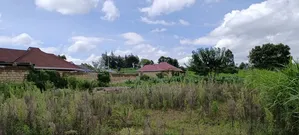Affordable Plots in Kikuyu Kamangu