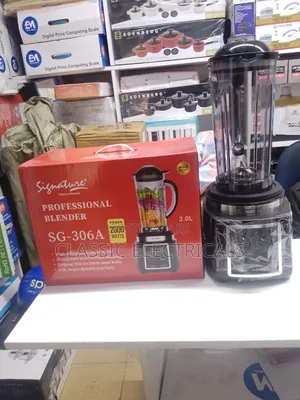 Professional Blender