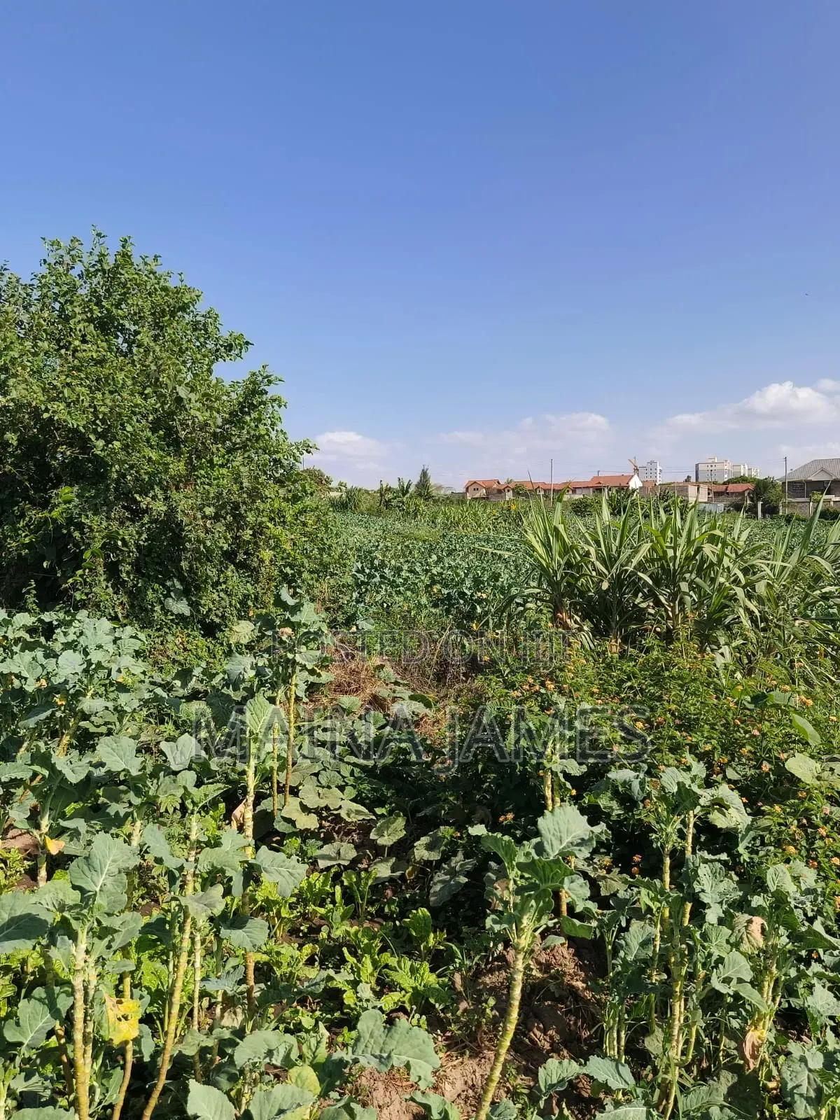 Plots in Sabaki( Behind Signature Mall)