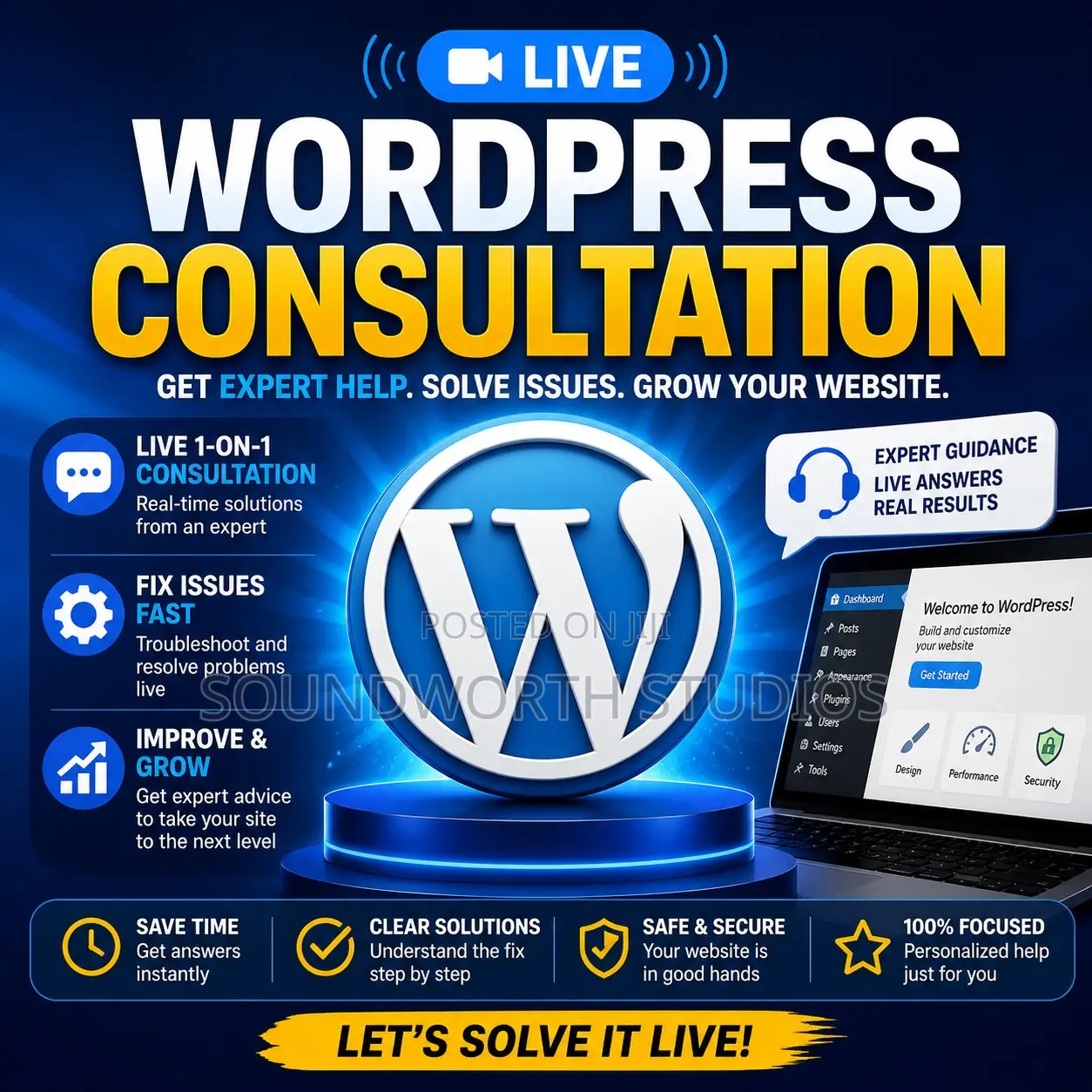 Live Wordpress/Website Consultation