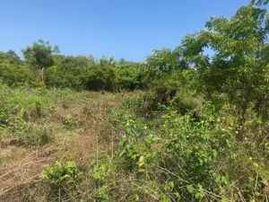 3.1 Acres of Land for Sale in Diani