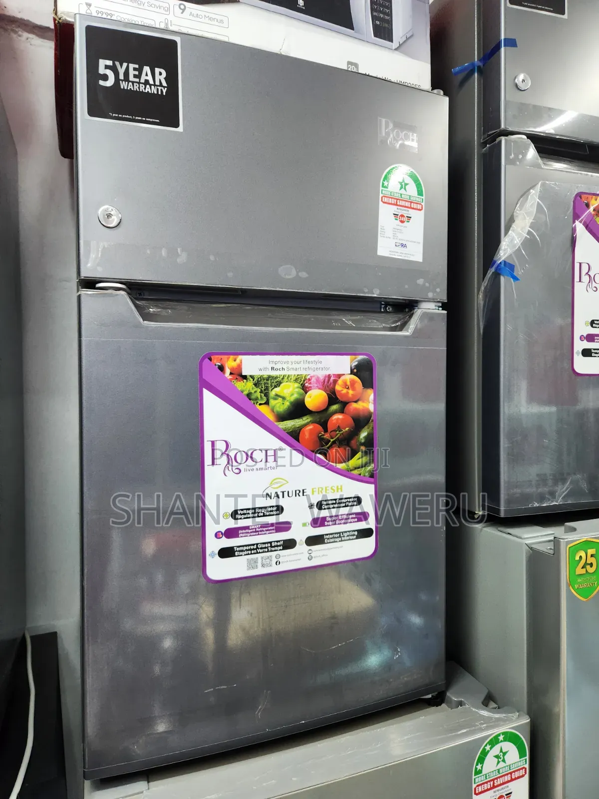 Roch Min Fridge Double Refrigerator