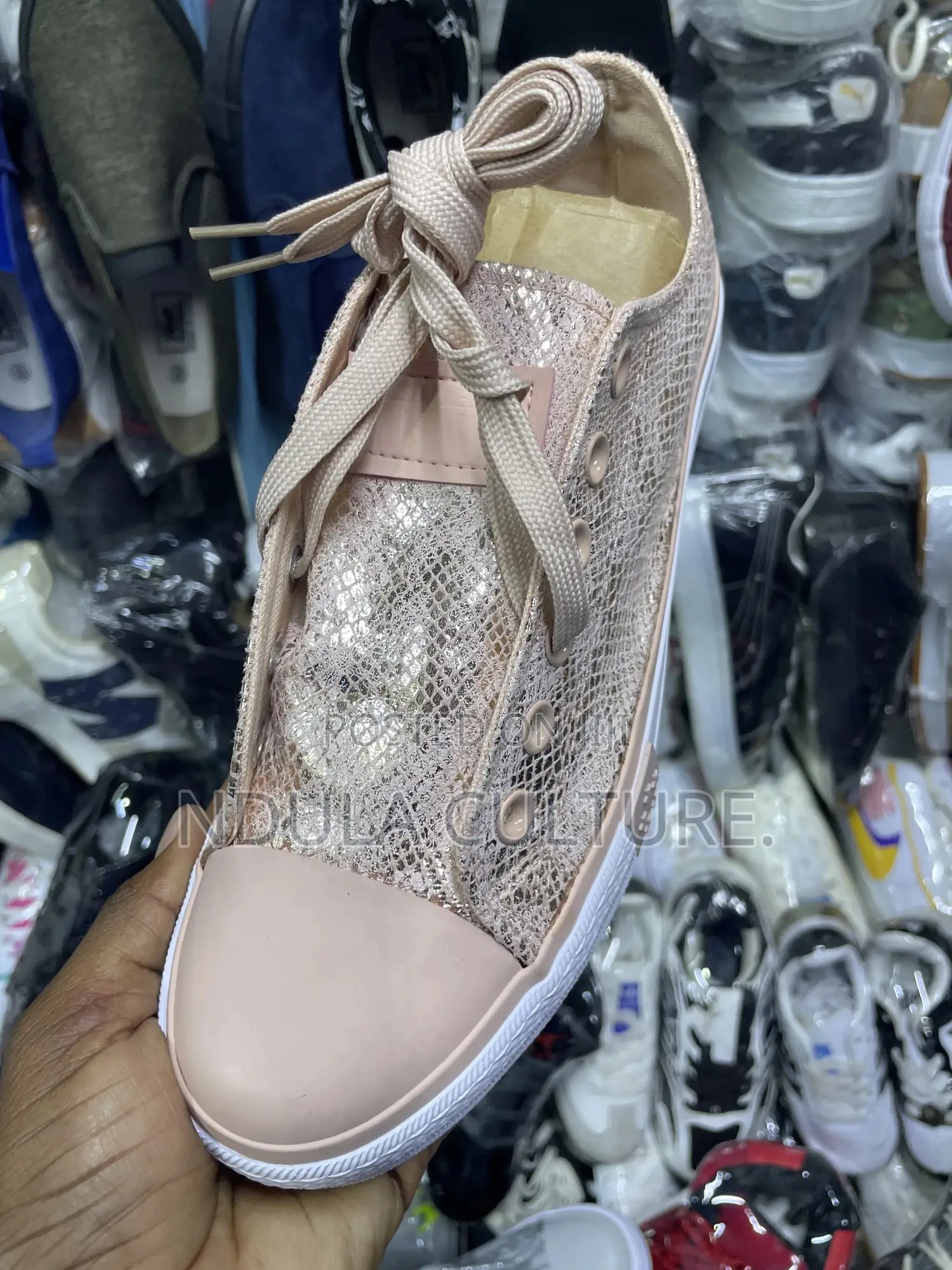 All New Converse Shoes Snake Print Design