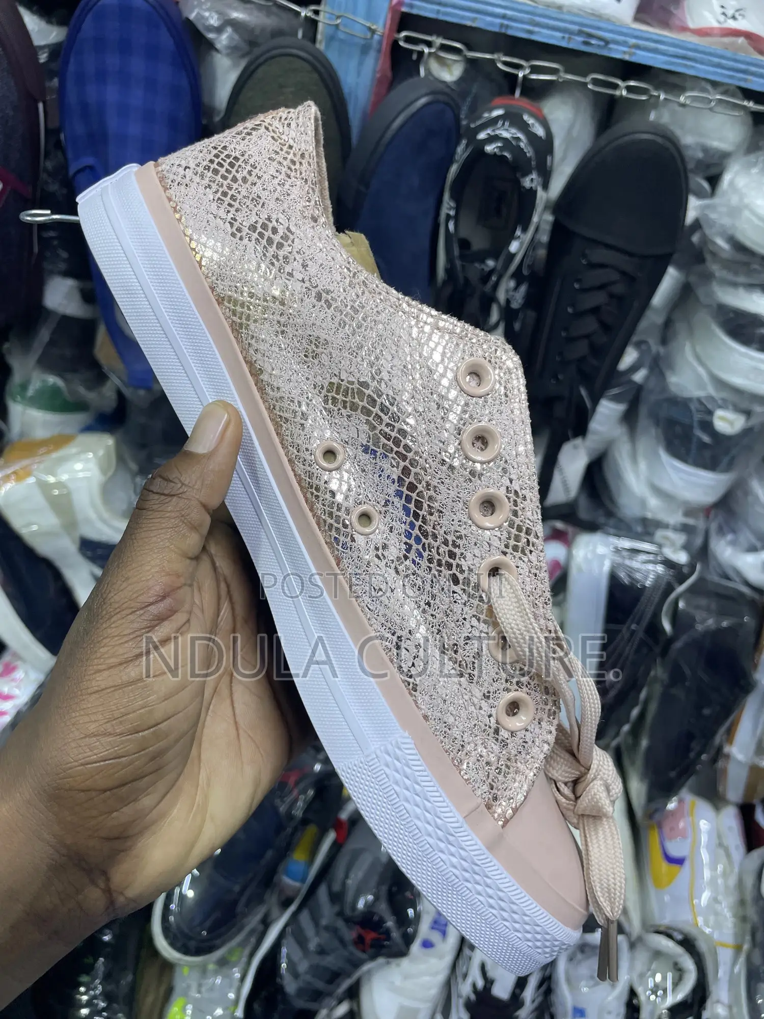 All New Converse Shoes Snake Print Design