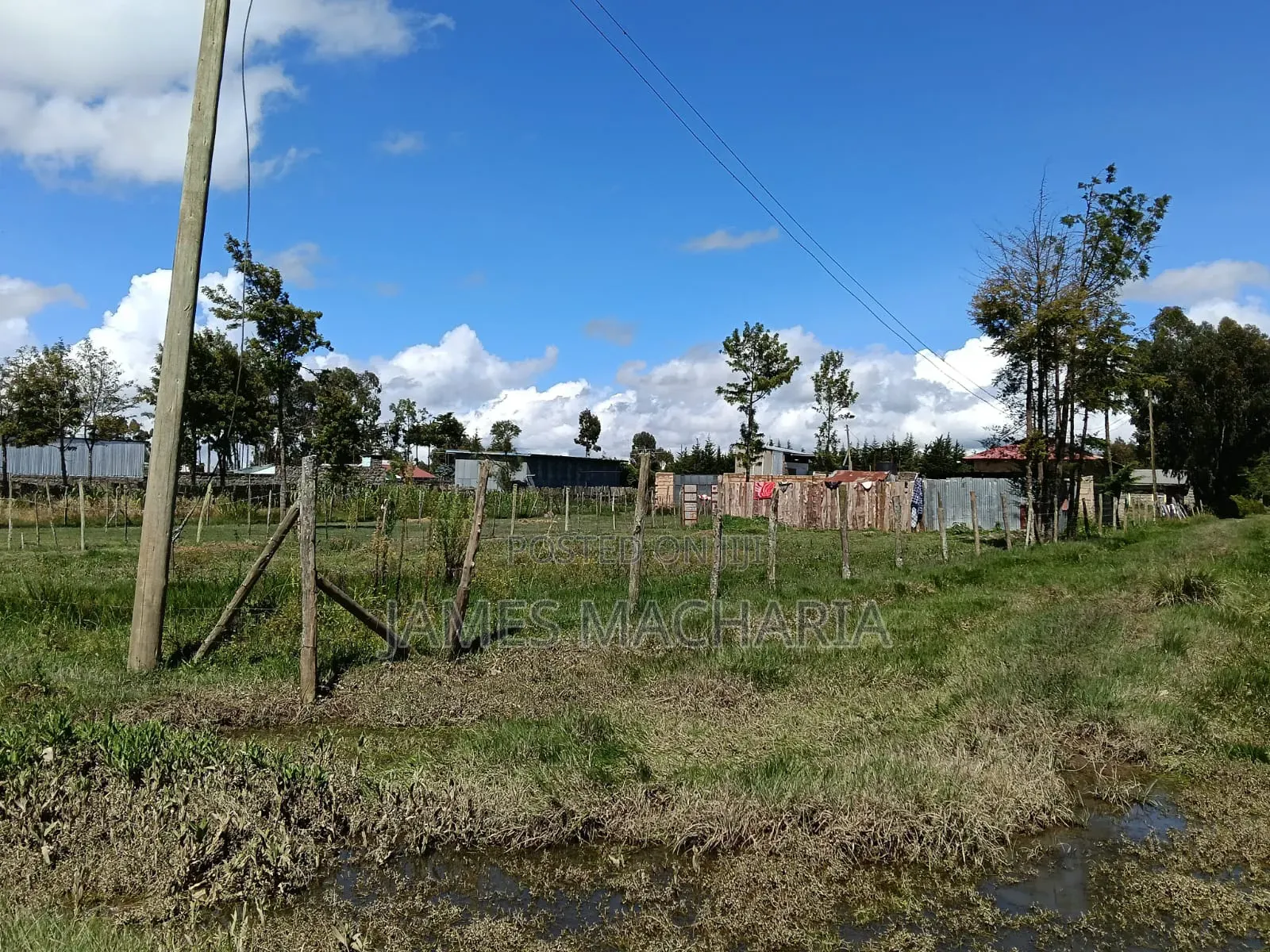 1/4 Acre Piece of Land