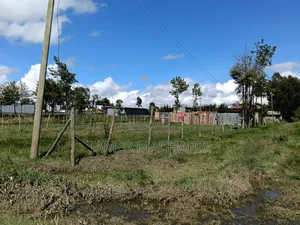 1/4 Acre Piece of Land