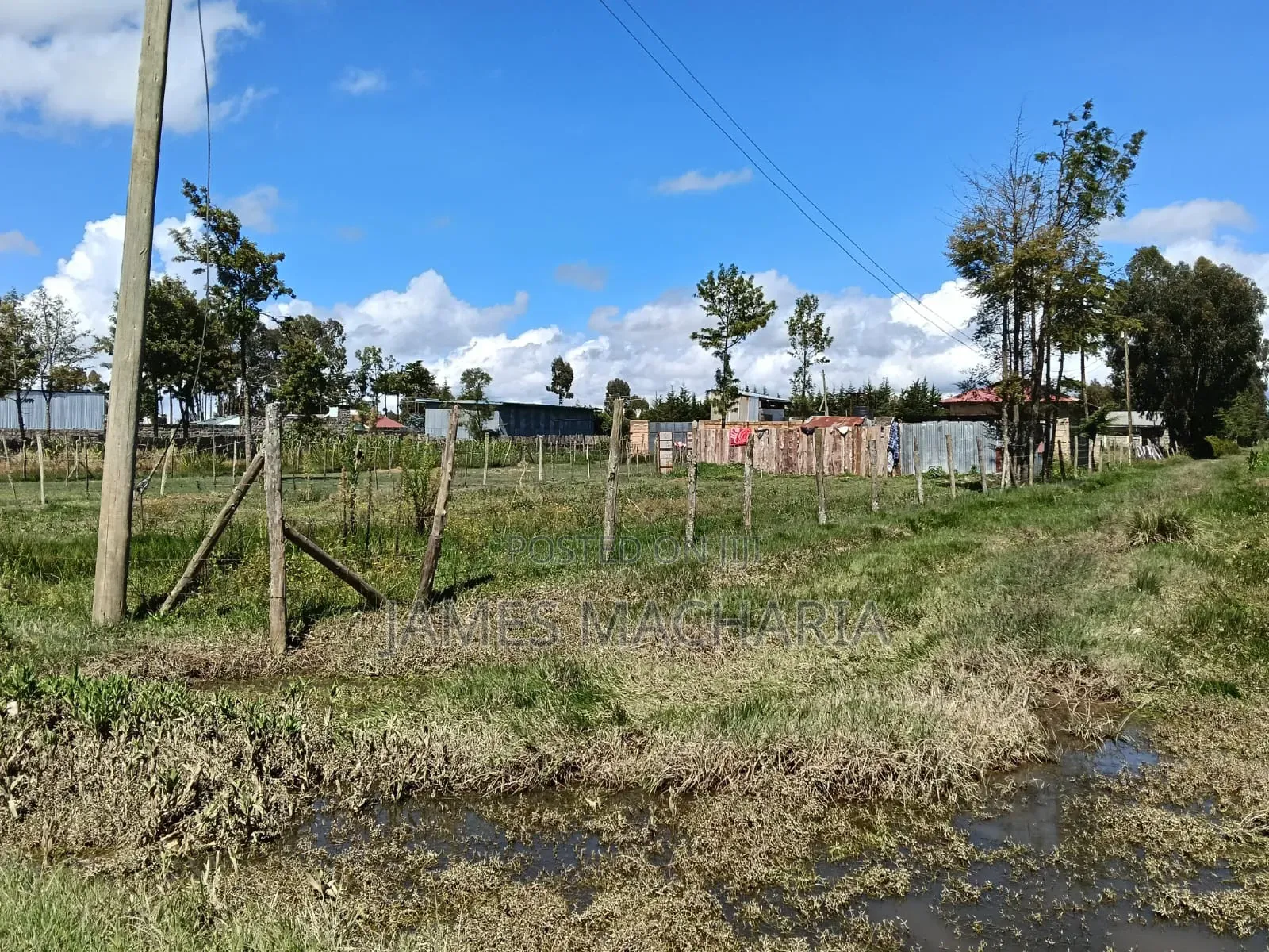 1/4 Acre Piece of Land