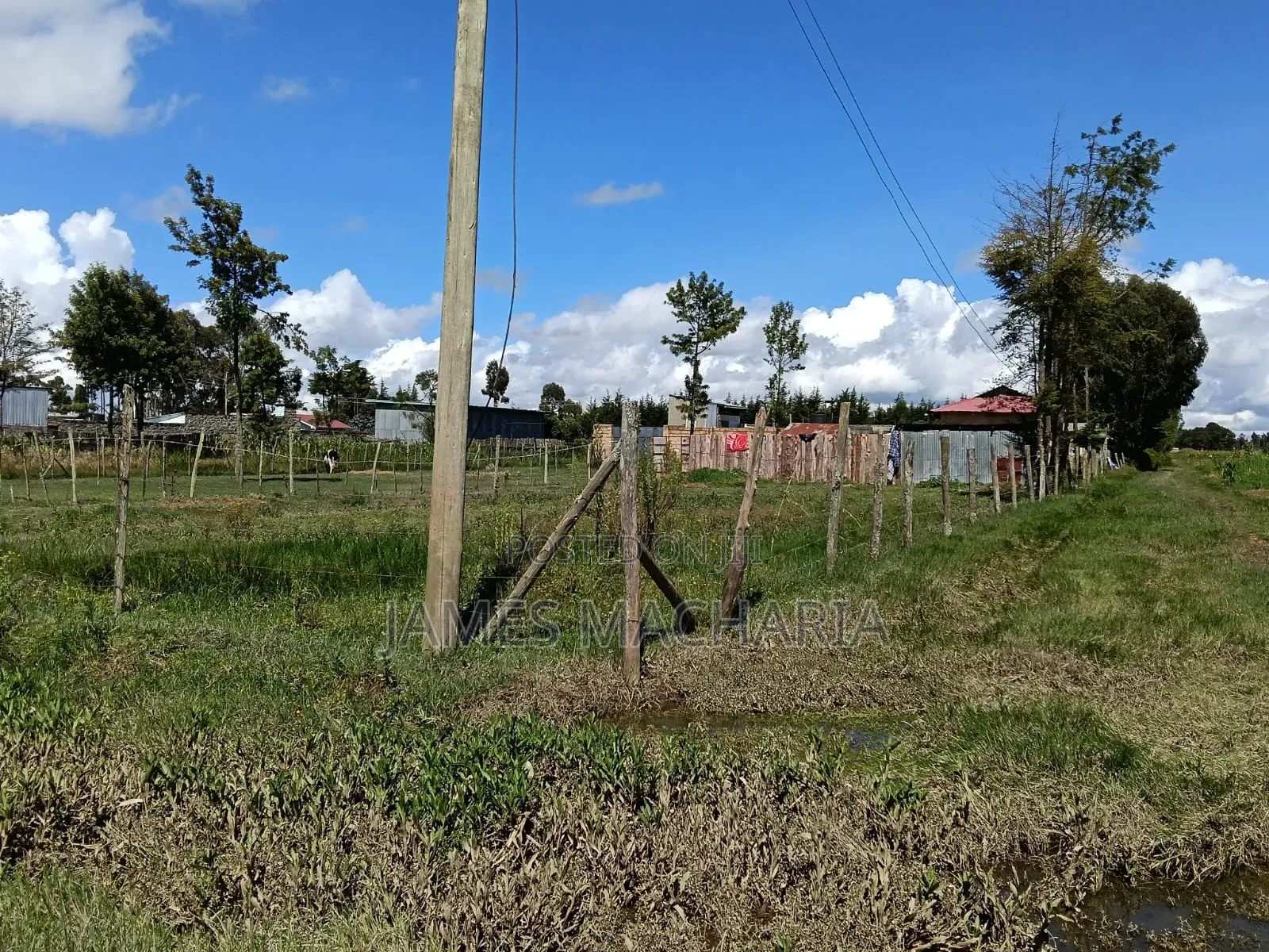 1/4 Acre Piece of Land